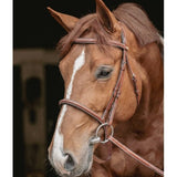 Pénélope Hunter US Bridle - Chestnut & Havana - Pénélope - Equiluxe Tack