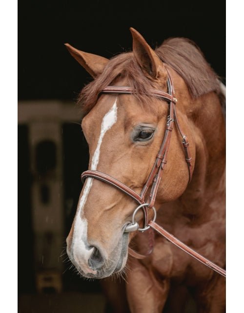 Pénélope Hunter US Bridle - Chestnut & Havana - Pénélope - Equiluxe Tack