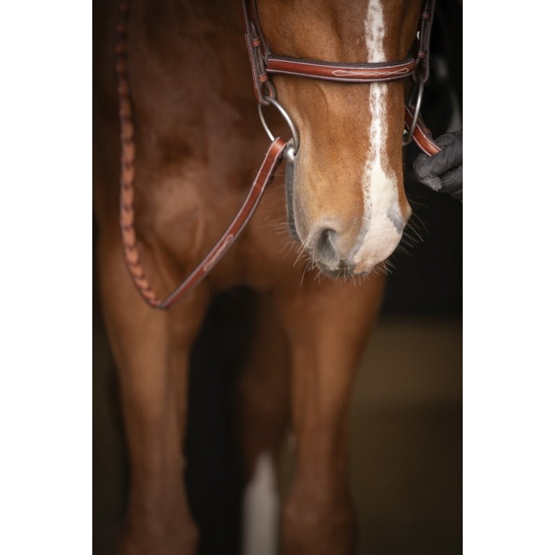 Pénélope Hunter US Bridle - Chestnut & Havana - Pénélope - Equiluxe Tack