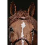 Pénélope Hunter US Bridle - Chestnut & Havana - Pénélope - Equiluxe Tack
