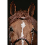 Pénélope Hunter US Bridle - Chestnut & Havana - Pénélope - Equiluxe Tack