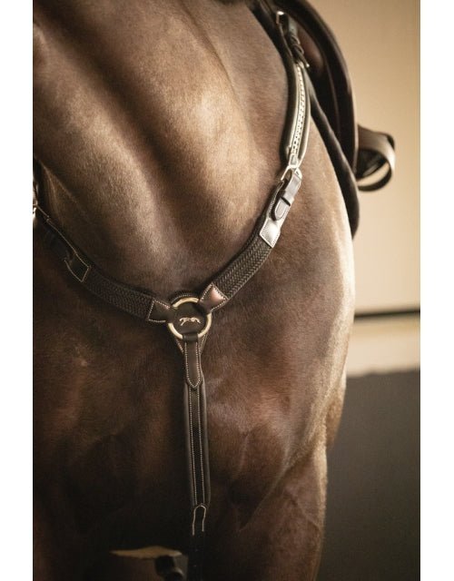 Pénélope Martin - Collar - Black - Pénélope - Equiluxe Tack