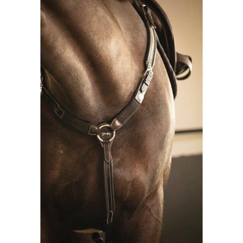 Pénélope Martin - Collar - Havana - Pénélope - Equiluxe Tack