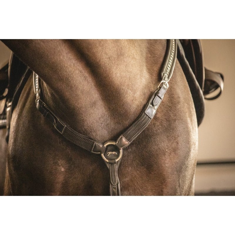 Pénélope Martin - Collar - Havana - Pénélope - Equiluxe Tack