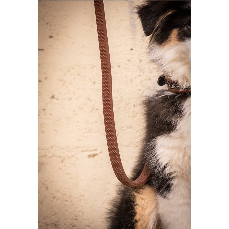 Pénélope Rubber Dog Leash - Havana - Pénélope - Equiluxe Tack