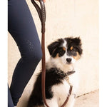 Pénélope Rubber Dog Leash - Havana - Pénélope - Equiluxe Tack