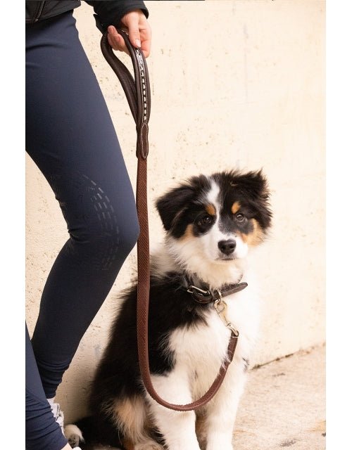 Pénélope Rubber Dog Leash - Havana - Pénélope - Equiluxe Tack
