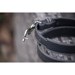 Pénélope Signature Belt - Black - Pénélope - Equiluxe Tack