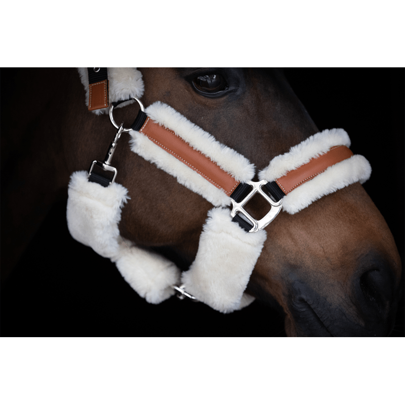 Pénélope Soft Halter - Black & Beige - Pénélope - Equiluxe Tack