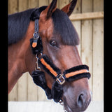 Pénélope Soft Halter - Black & Black - Pénélope - Equiluxe Tack