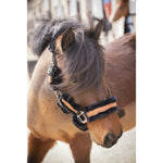 Pénélope Soft Leather Halter - Black & Black - Pénélope - Equiluxe Tack