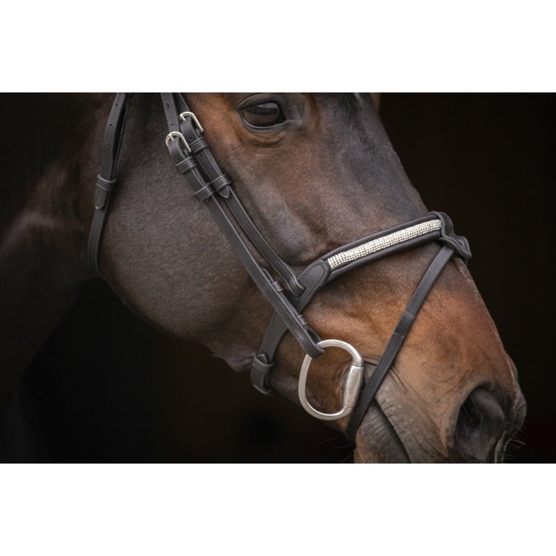 Pénélope Symphonie Bridle - Black - Pénélope - Equiluxe Tack