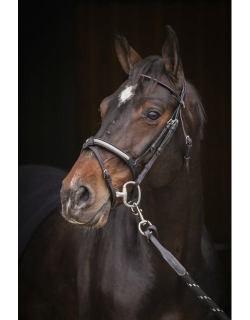 Pénélope Symphonie Bridle - Black - Pénélope - Equiluxe Tack
