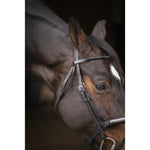 Pénélope Symphonie Bridle - Black - Pénélope - Equiluxe Tack