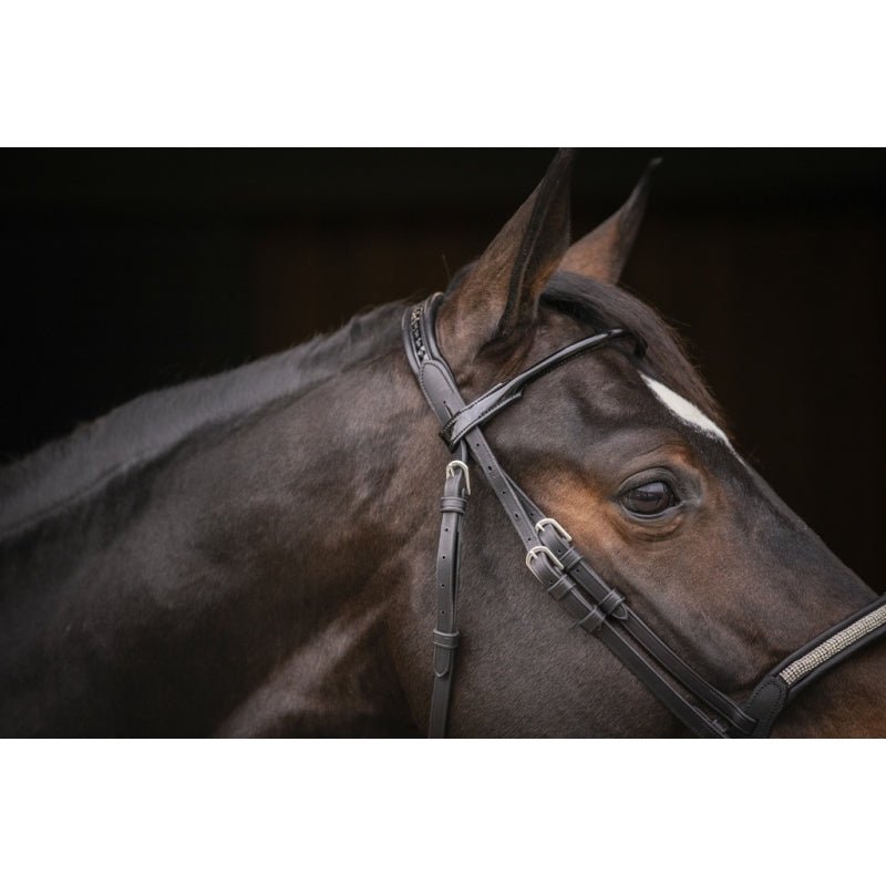Pénélope Symphonie Bridle - Black - Pénélope - Equiluxe Tack