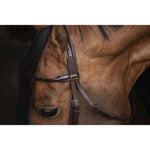 Pénélope Symphonie Bridle - Havana - Pénélope - Equiluxe Tack