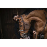 Pénélope Symphonie Bridle - Havana - Pénélope - Equiluxe Tack