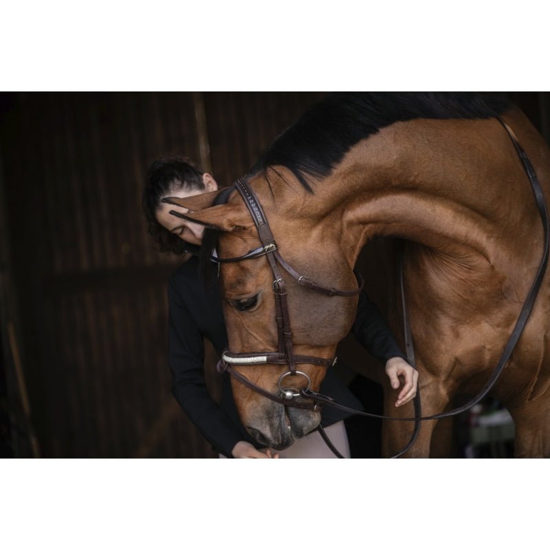 Pénélope Symphonie Bridle - Havana - Pénélope - Equiluxe Tack