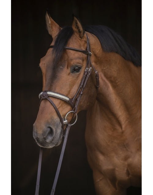 Pénélope Symphonie Bridle - Havana - Pénélope - Equiluxe Tack
