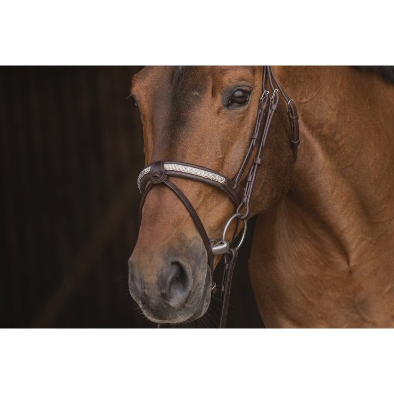Pénélope Symphonie Bridle - Havana - Pénélope - Equiluxe Tack