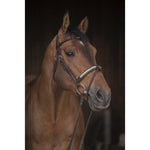 Pénélope Symphonie Bridle - Havana - Pénélope - Equiluxe Tack
