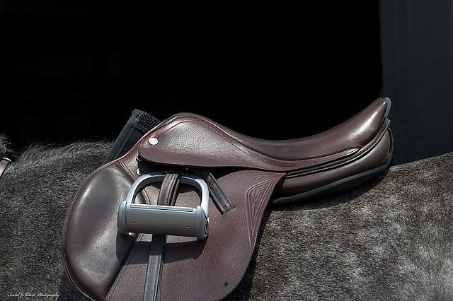 Perfect Fit Pad – English - Equiluxe Tack - Equiluxe Tack