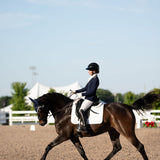 Perfeq Dressage Pad - Anatomeq - Equiluxe Tack