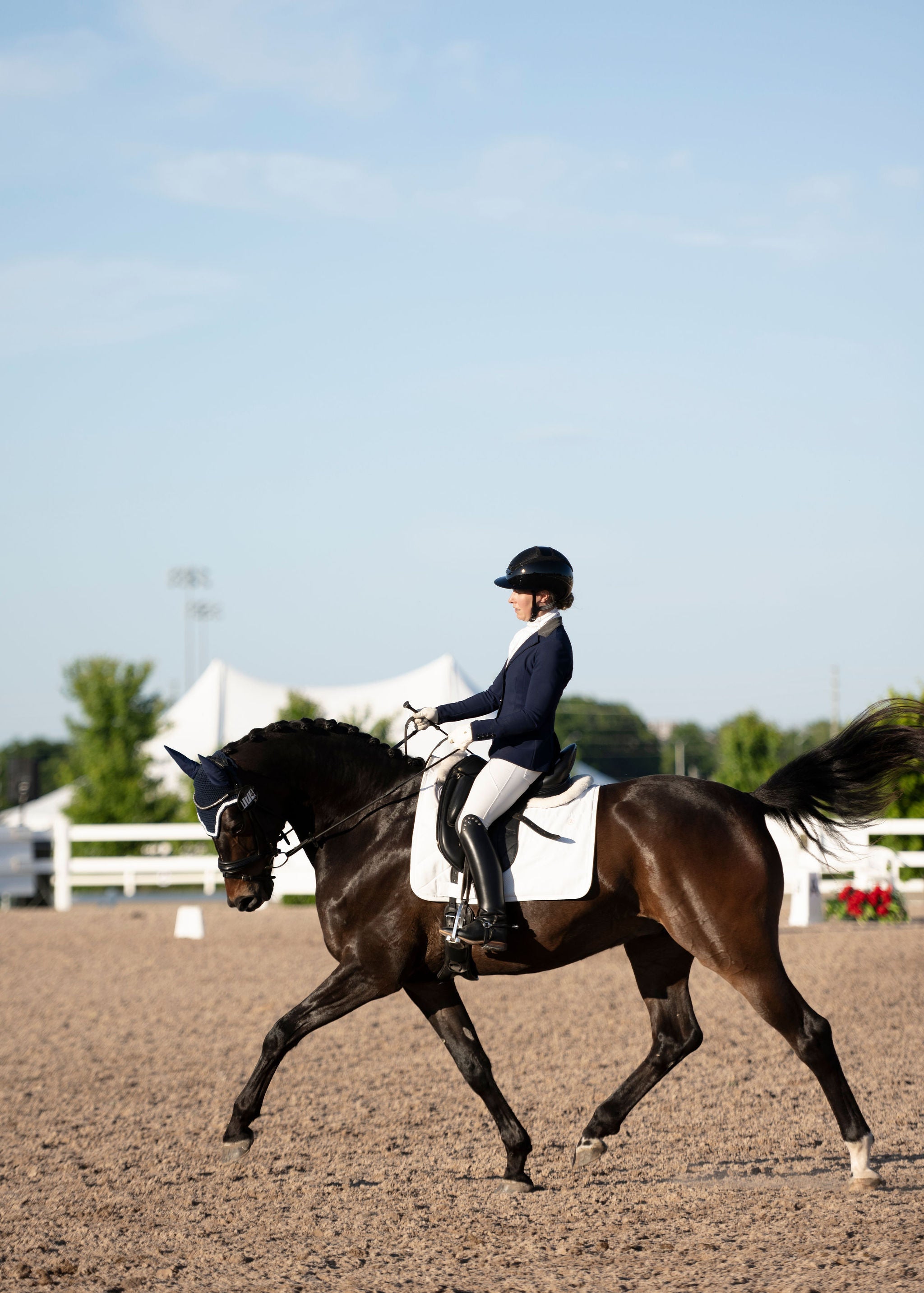 Perfeq Dressage Pad - Anatomeq - Equiluxe Tack