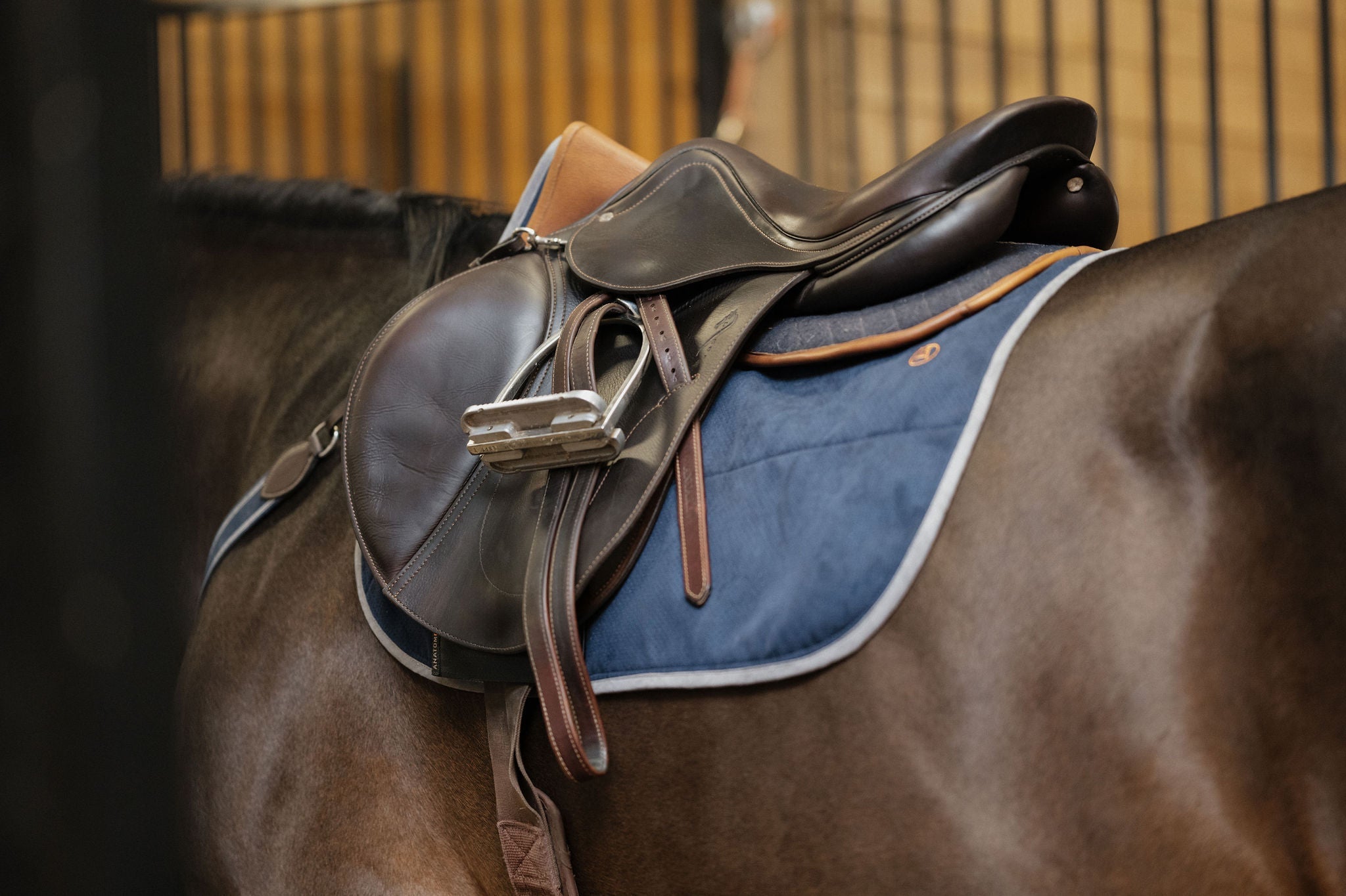 Perfeq Jumper Pad - Anatomeq - Equiluxe Tack