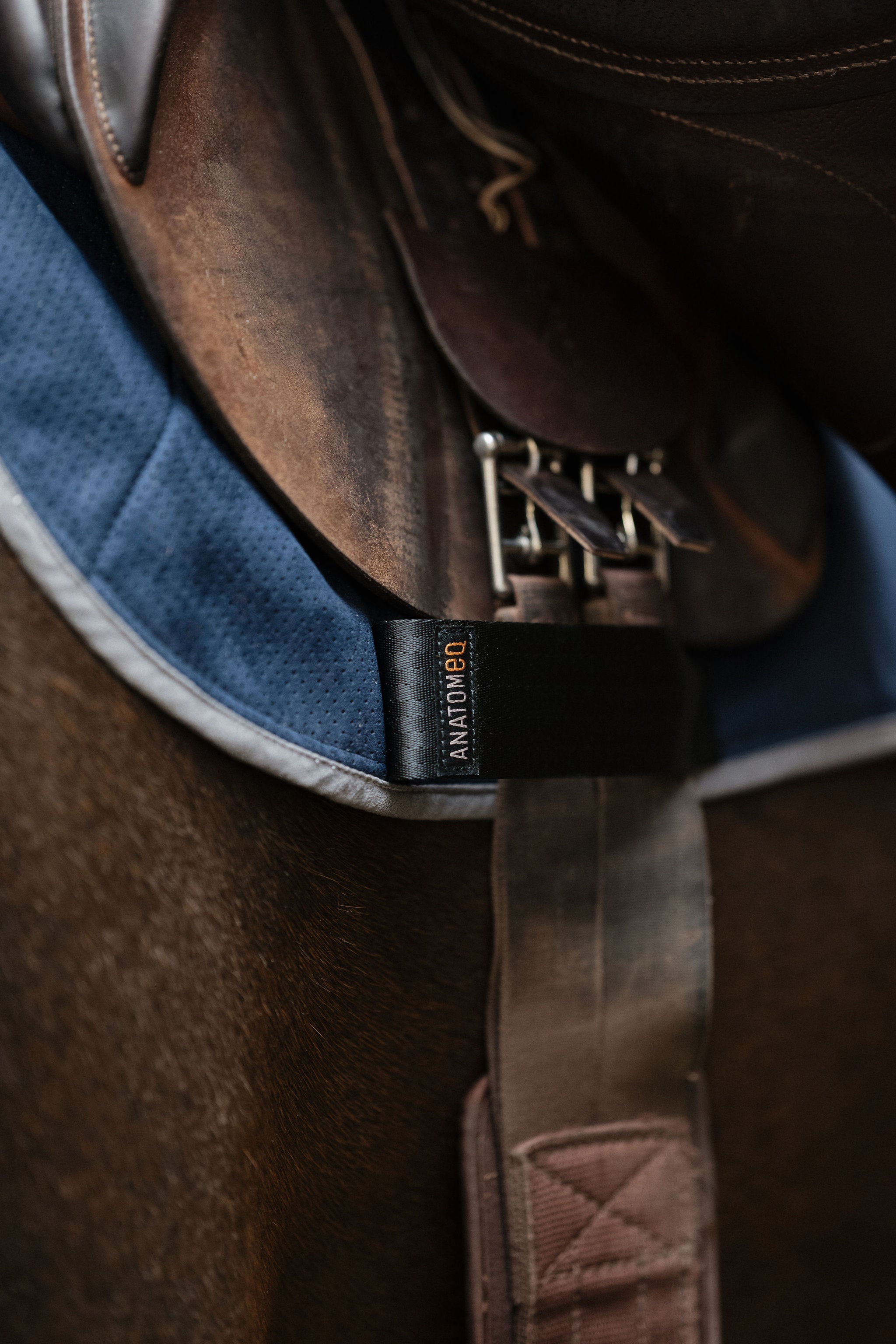 Perfeq Jumper Pad - Anatomeq - Equiluxe Tack