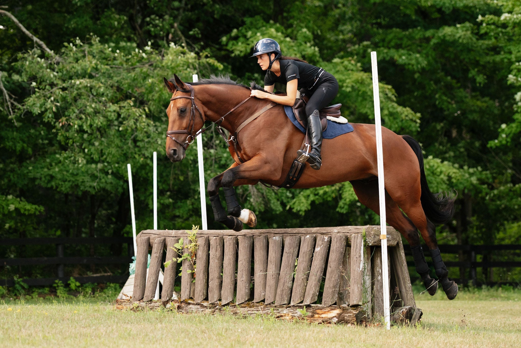 Perfeq XC Pad - Anatomeq - Equiluxe Tack