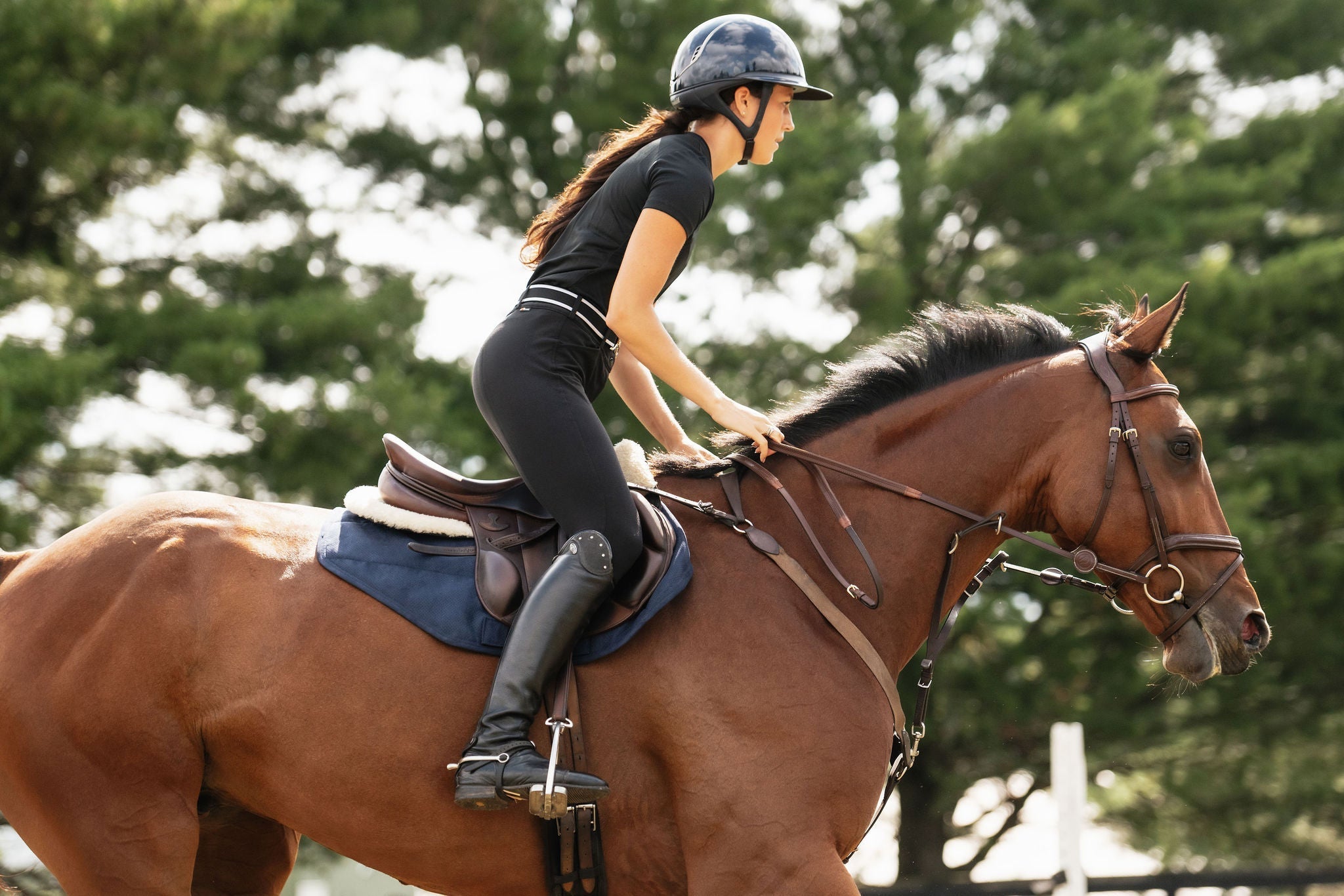 Perfeq XC Pad - Anatomeq - Equiluxe Tack