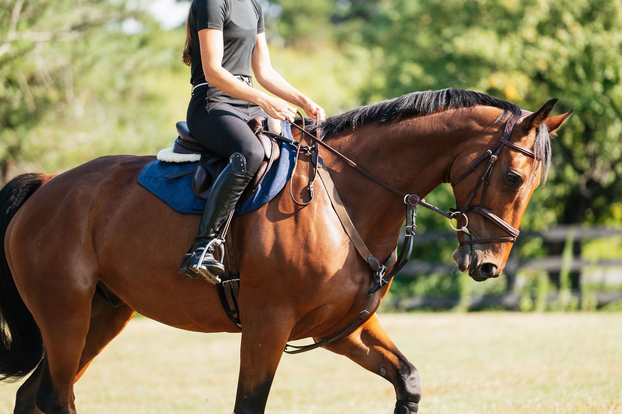 Perfeq XC Pad - Anatomeq - Equiluxe Tack