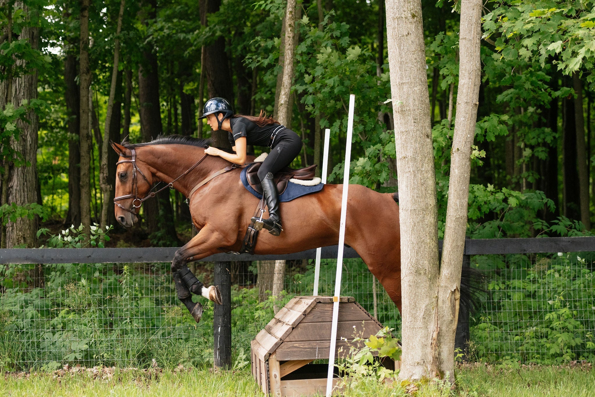 Perfeq XC Pad - Anatomeq - Equiluxe Tack