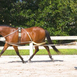 Pessoa® Lunging System - Equiluxe Tack
