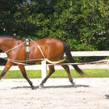 Pessoa® Lunging System - Equiluxe Tack