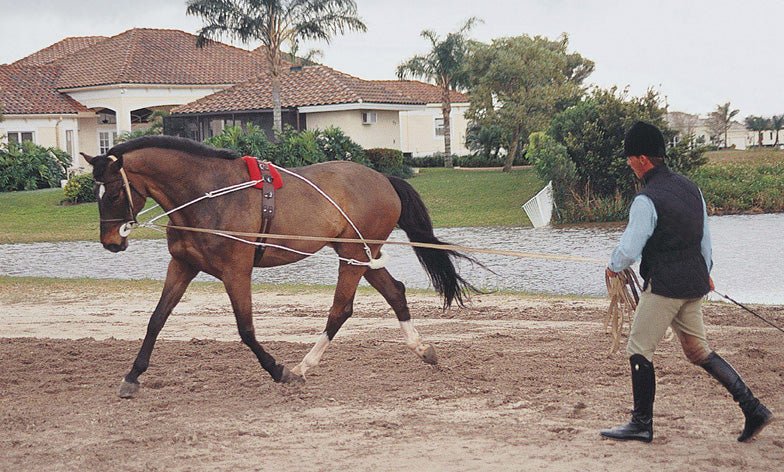 Pessoa® Lunging System - Equiluxe Tack