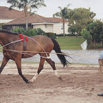 Pessoa® Lunging System - Equiluxe Tack
