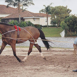 Pessoa® Lunging System - Equiluxe Tack