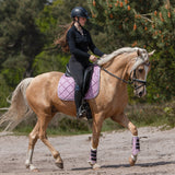 Pink Mist Brushing Boots - Equestroom - Equiluxe Tack