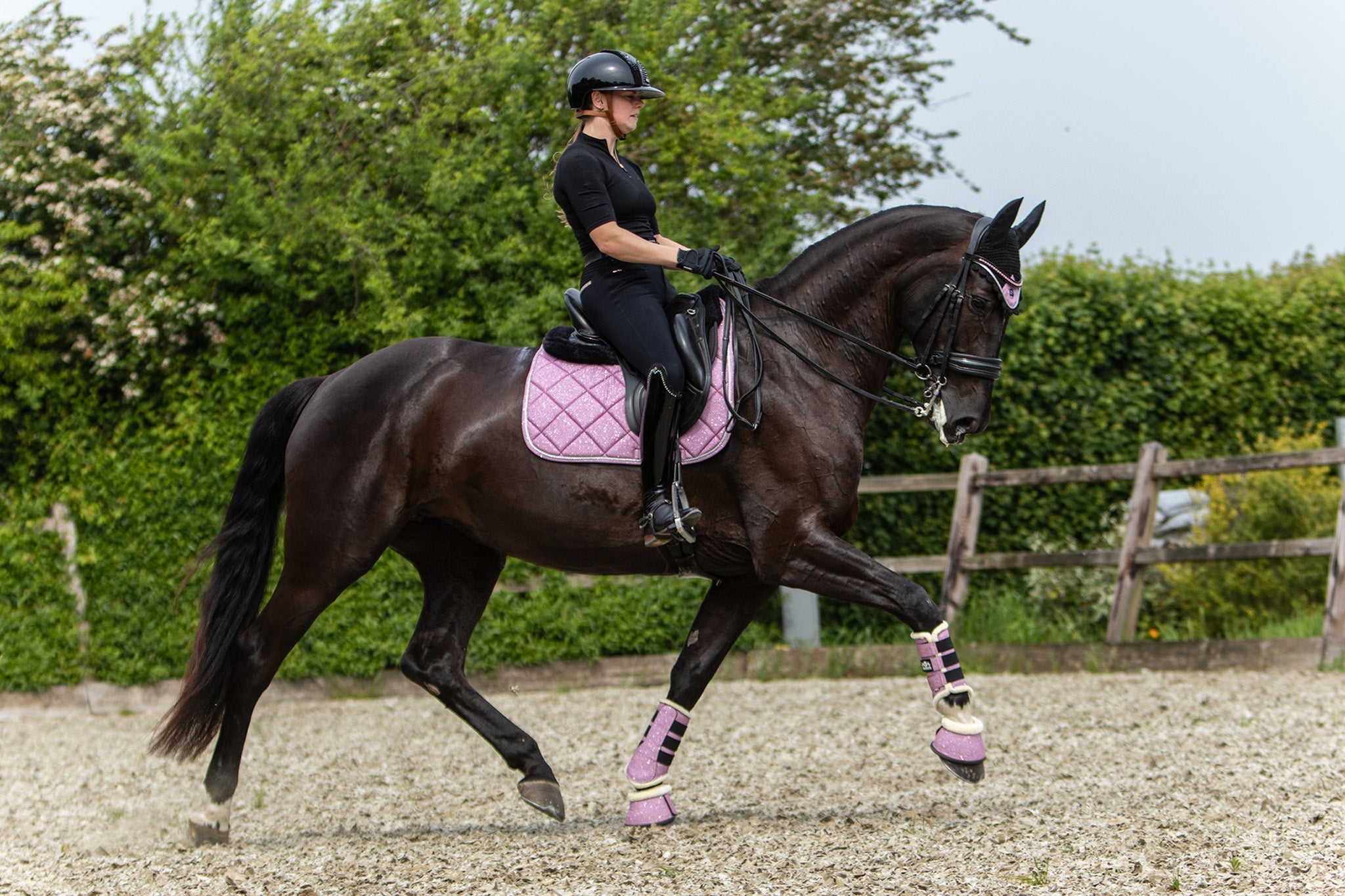 Pink Mist Brushing Boots - Equestroom - Equiluxe Tack