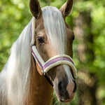 Pink Mist Halter - Equestroom - Equiluxe Tack