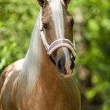 Pink Mist Halter - Equestroom - Equiluxe Tack