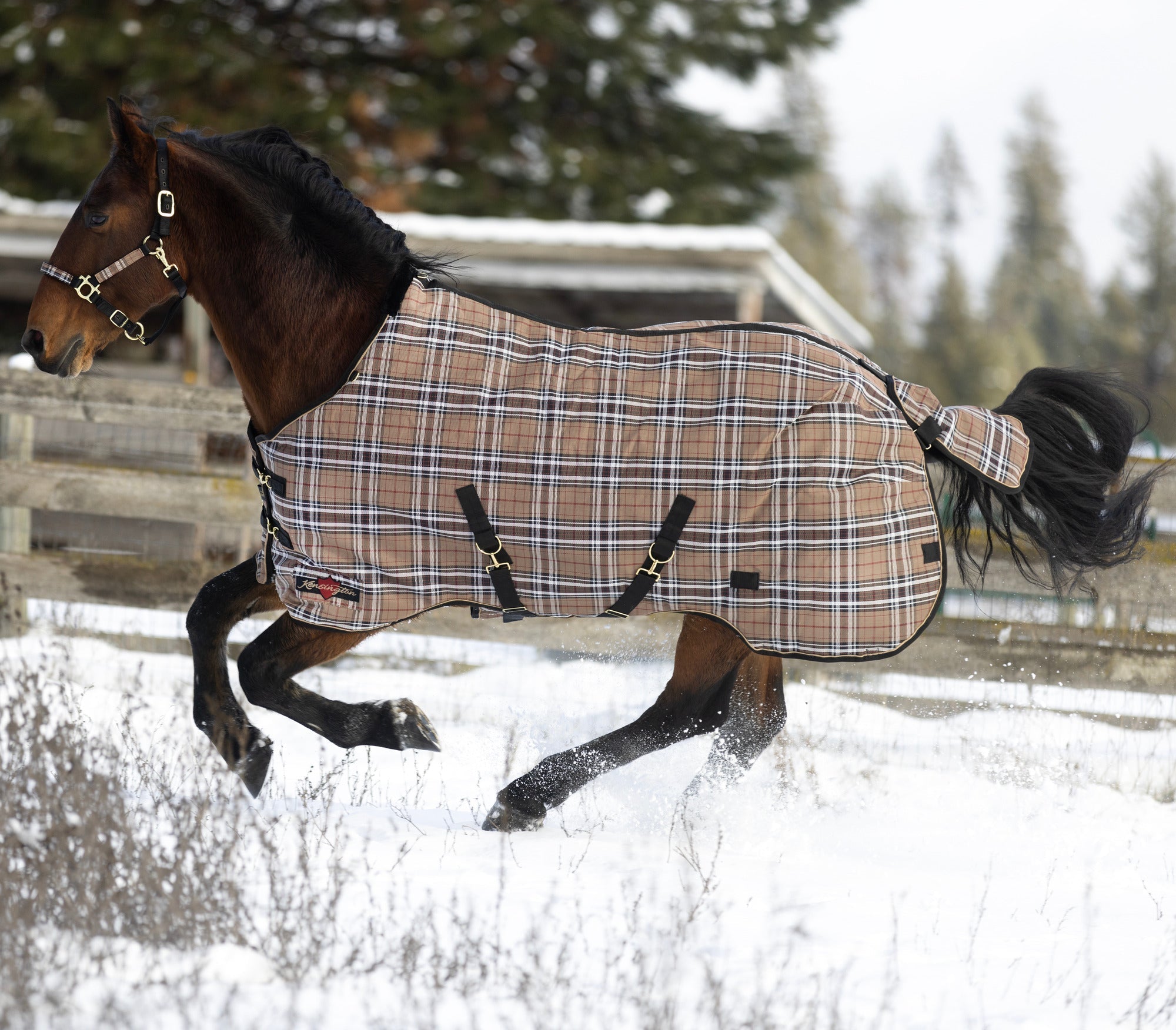 Platinum SuperMesh Turnout - Kensington Protective Products - Equiluxe Tack