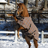 Platinum SuperMesh Turnout - Kensington Protective Products - Equiluxe Tack