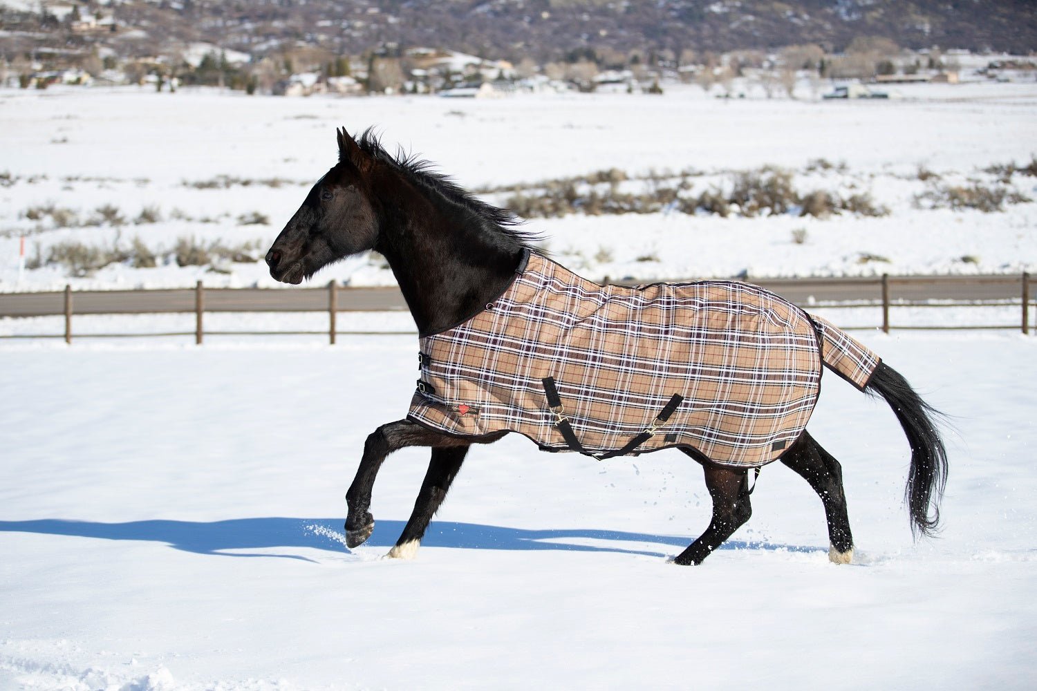 Platinum SuperMesh Turnout - Kensington Protective Products - Equiluxe Tack