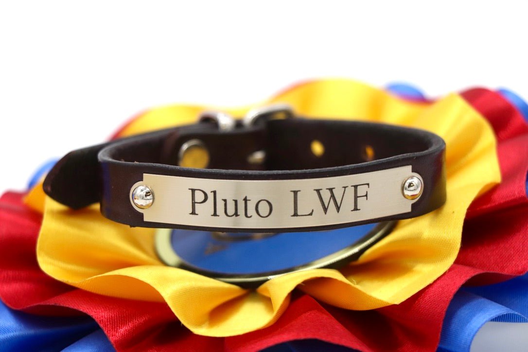 Pony Bracelet - Remarkable Leather Goods - Equiluxe Tack