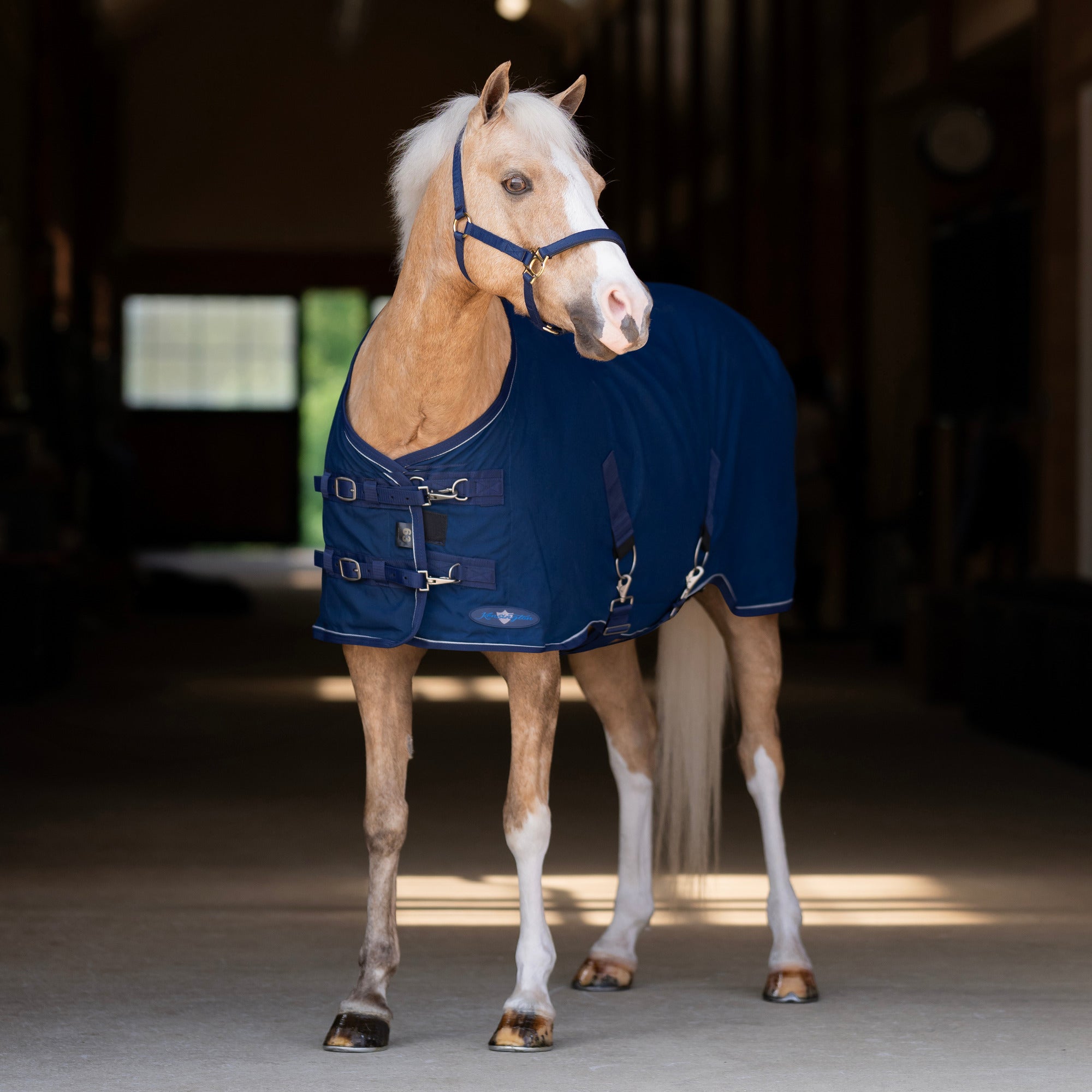 Pony Poly Cotton Stable Sheet - Kensington Protective - Equiluxe Tack