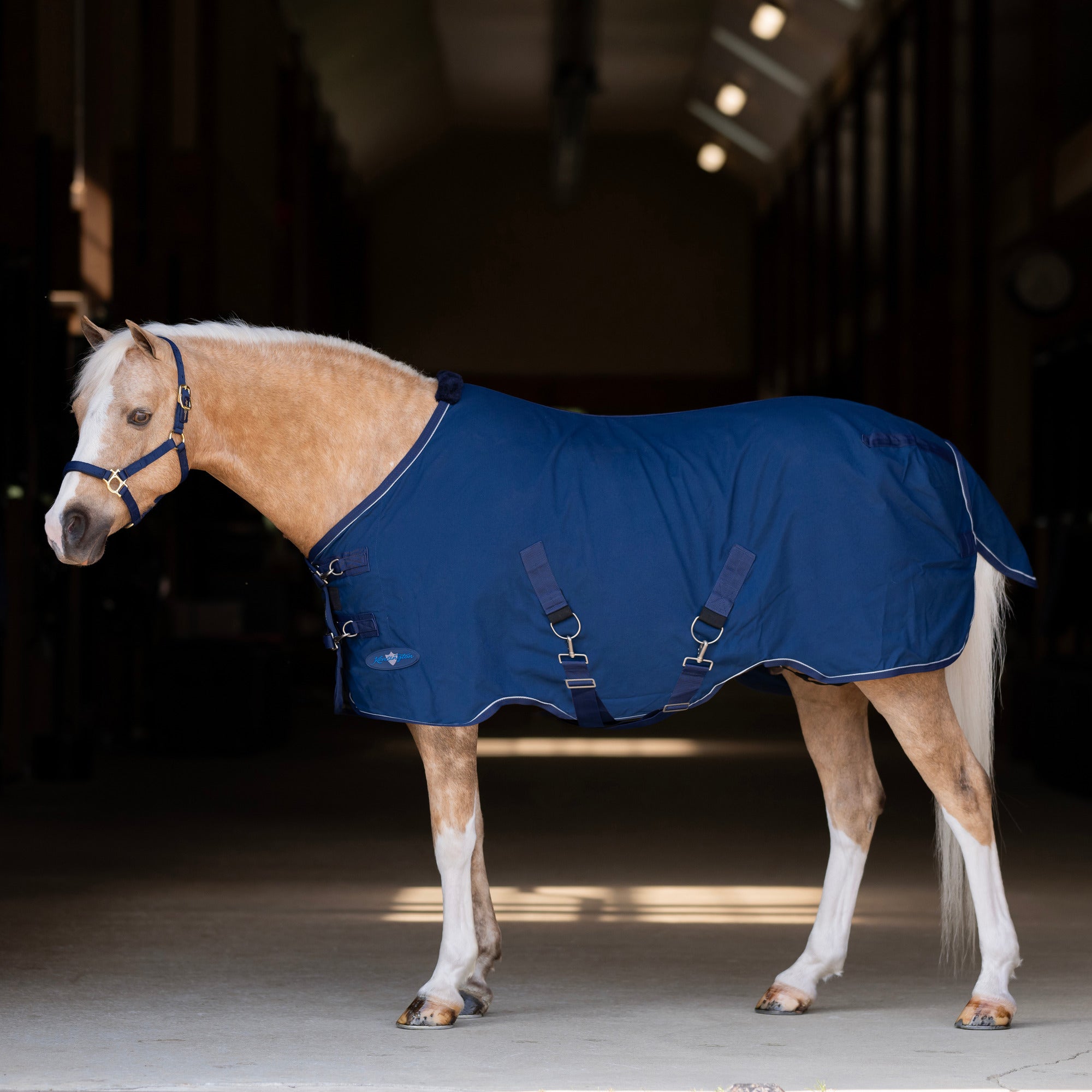 Pony Poly Cotton Stable Sheet - Kensington Protective - Equiluxe Tack