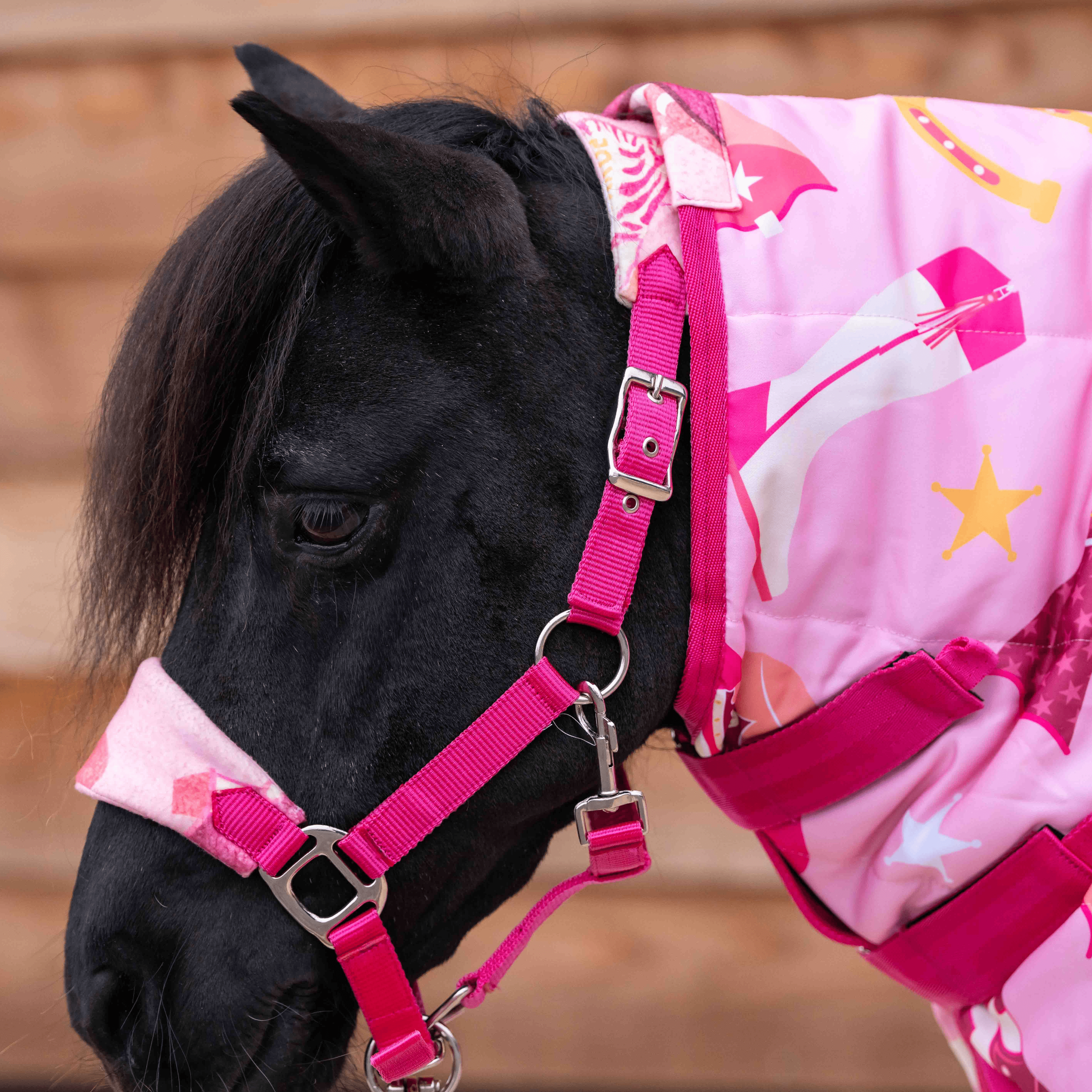 Ponyo Horsewear Country Star Stable Rug - Ponyo Horsewear - Equiluxe Tack